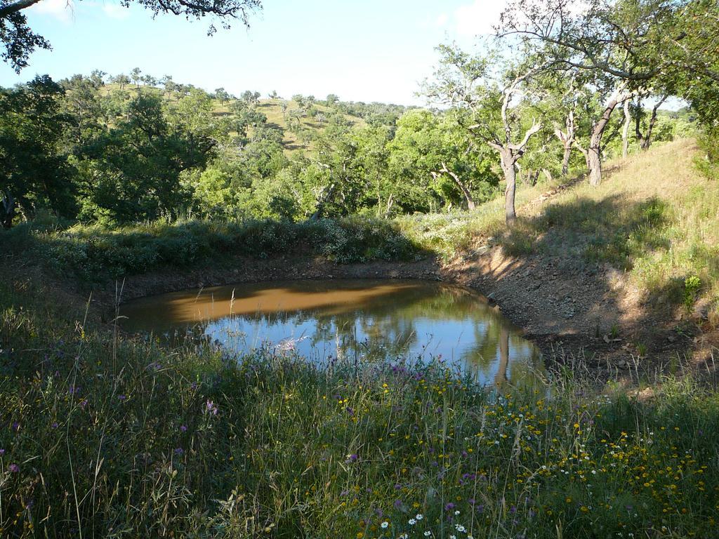 Monte Da Ameira Roncão Extérieur photo